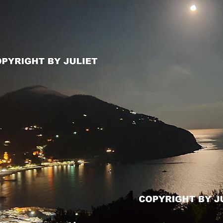 Juliet - Apartment In Liguria 5 Terre Unesco Site Леванто Экстерьер фото