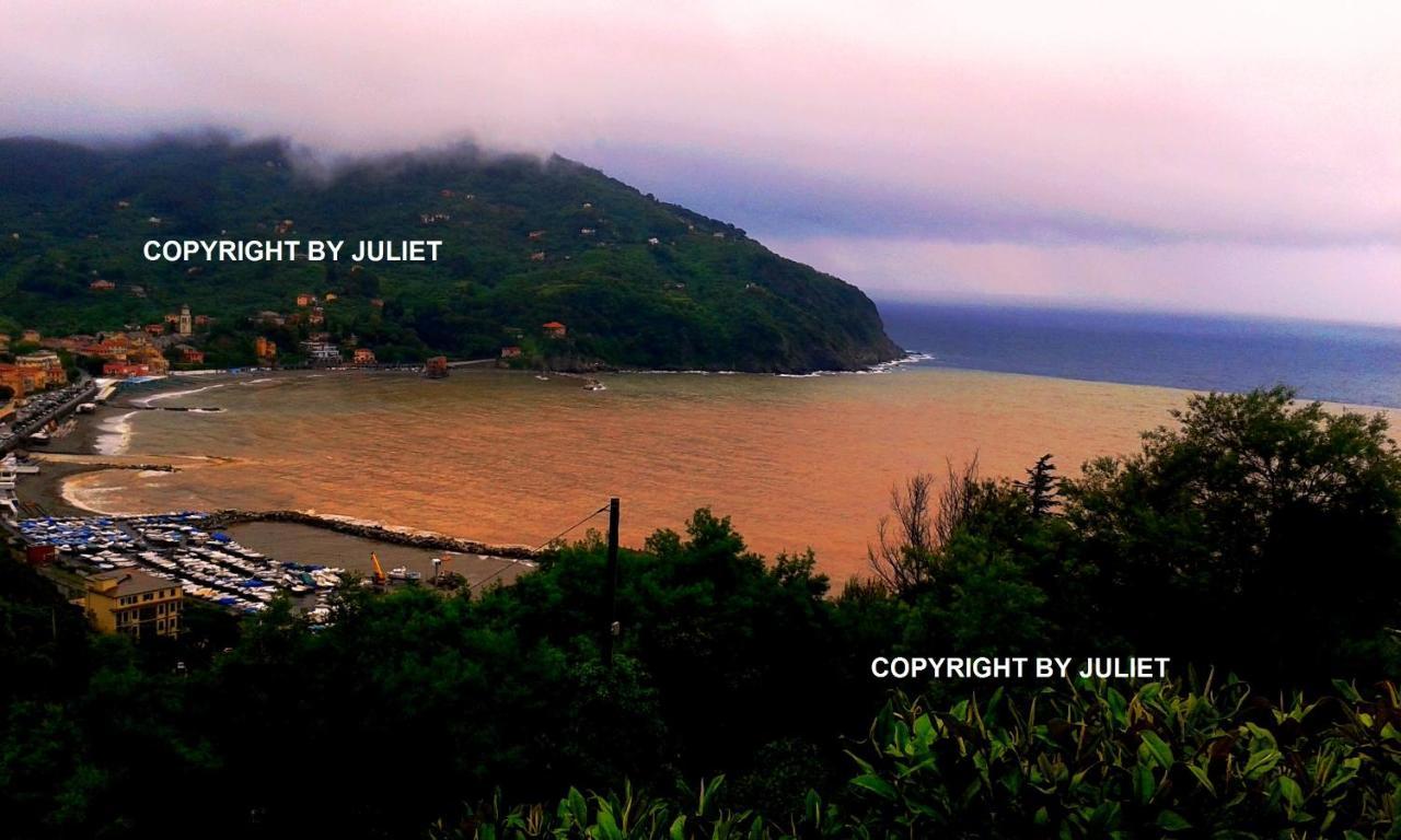 Juliet - Apartment In Liguria 5 Terre Unesco Site Леванто Экстерьер фото